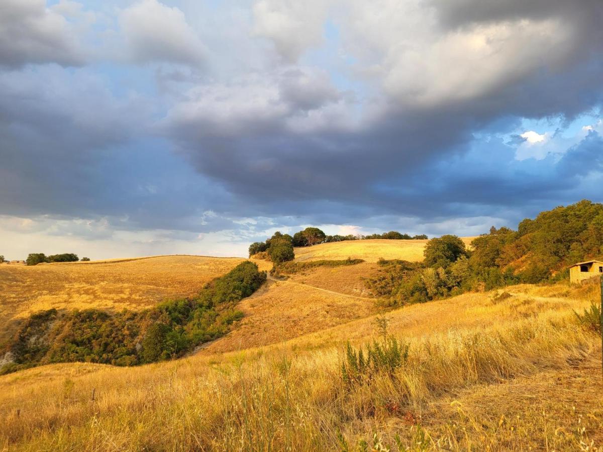 Agriturismo Vergelle Монтальчино Экстерьер фото