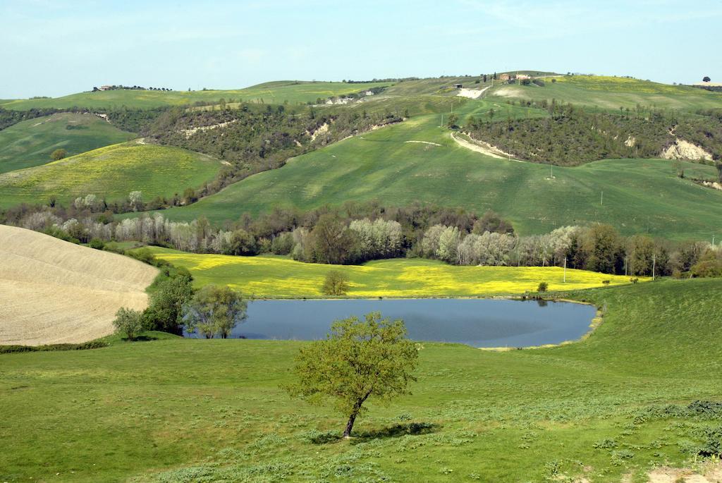 Agriturismo Vergelle Монтальчино Экстерьер фото